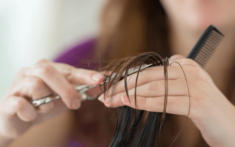 have-your-hair-cut-every-6to-8-weeks