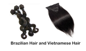 What’s the Difference Between Vietnamese Hair and Brazilian Hair